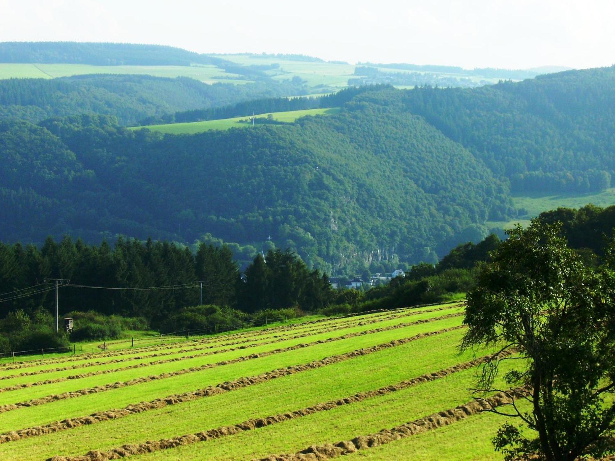 Beautiful Holidayhome With Sauna And Terrace Harscheid 외부 사진